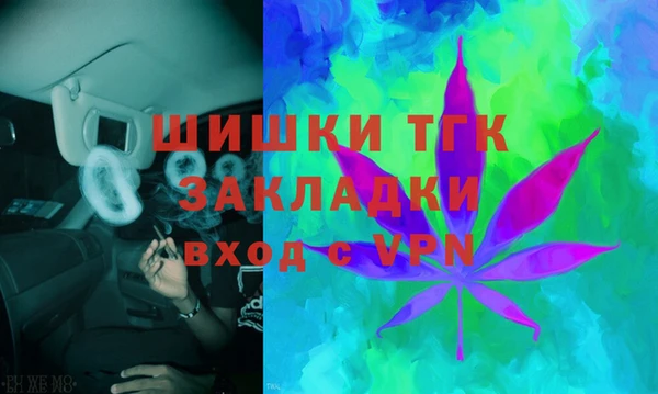 прущая мука Вяземский