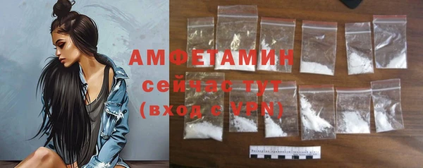 прущая мука Вяземский