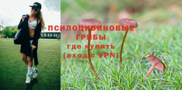 PSILOCYBIN Вязники