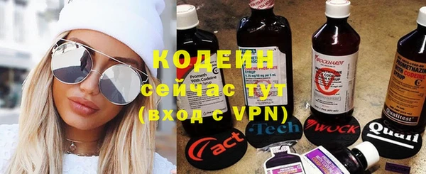 прущая мука Вяземский