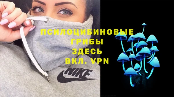 PSILOCYBIN Вязники