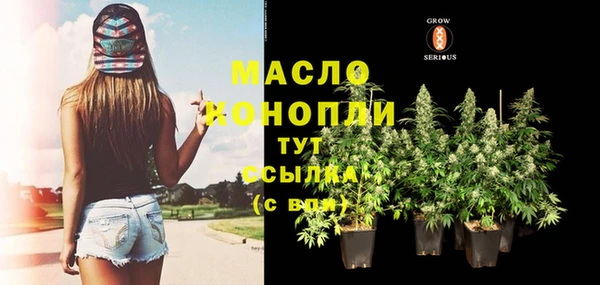 прущая мука Вяземский