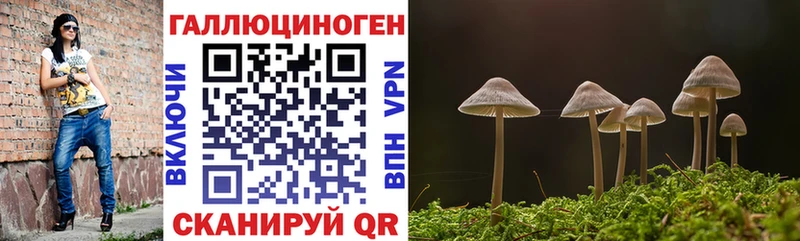 Галлюциногенные грибы Cubensis  Оха 