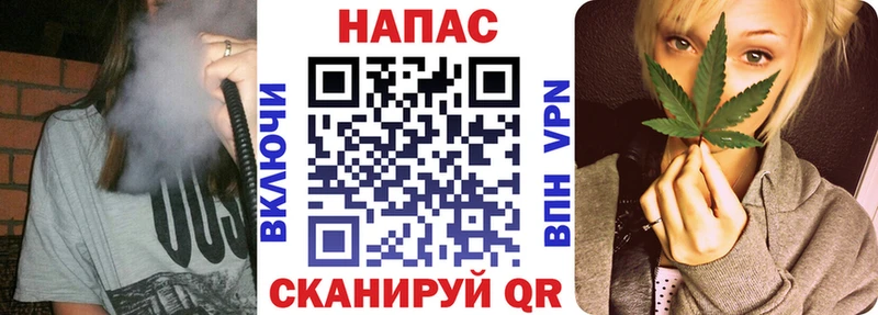 Конопля сатива Оха